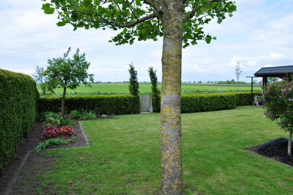 Beukenlaan Rouveen Exterior foto